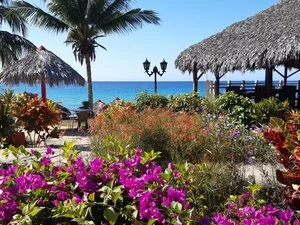 Corazon de Cuba 11gg - Grill Caribe