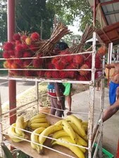 San Blas e Coiba 11gg - 20240812 091141