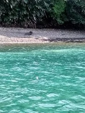 San Blas e Coiba 11gg - 20240814 104536