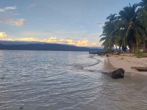 Todo Panama 14gg - 20240808 063355
