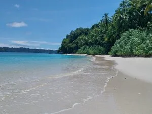 Todo Panama 14gg - 20240814 131430