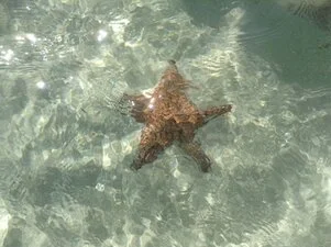 Mare e natura 11gg - 11015481 645589052213626 6375747968674375044 n