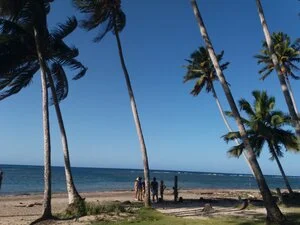 Senderos de Cuba 22gg - 20190417 170546