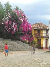 Porta d