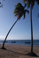 Son y Playas de Cuba 15gg - 20190417 170621
