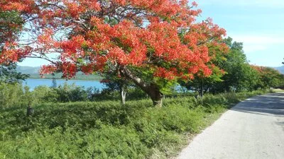 Mare e natura - estate 11gg - 13582050 863094747129721 566236685284006975 o